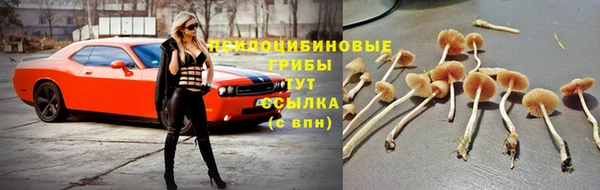 соль курить ск Балабаново